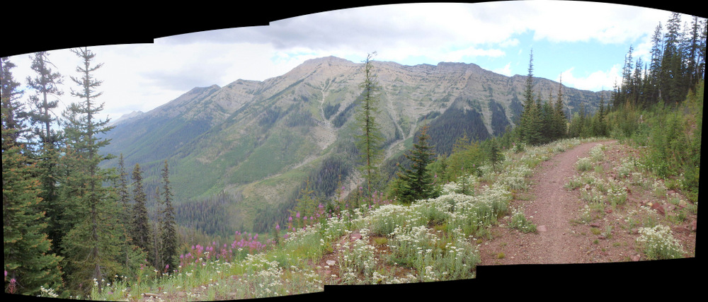 GDMBR: We pedaled forward and upward on FR-4353's Single Track, Richmond Peak, MT.